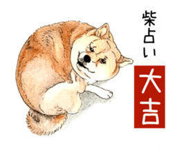 Favorite parts of SHIBAINU9 sticker #13310507