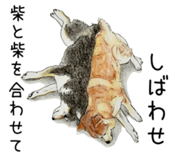Favorite parts of SHIBAINU9 sticker #13310508
