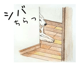 Favorite parts of SHIBAINU9 sticker #13310510