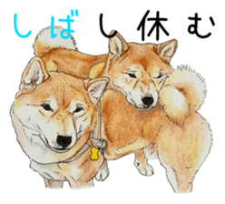 Favorite parts of SHIBAINU9 sticker #13310513