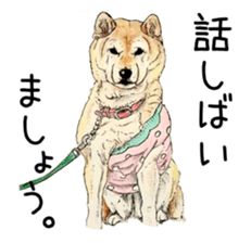 Favorite parts of SHIBAINU9 sticker #13310514