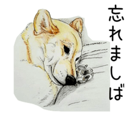 Favorite parts of SHIBAINU9 sticker #13310516