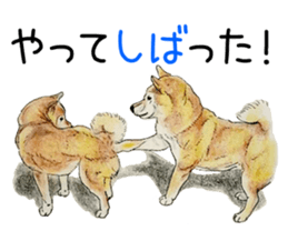 Favorite parts of SHIBAINU9 sticker #13310517
