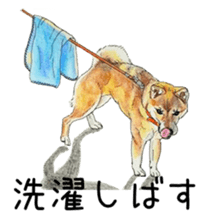 Favorite parts of SHIBAINU9 sticker #13310518