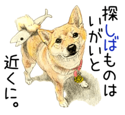 Favorite parts of SHIBAINU9 sticker #13310519