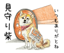 Favorite parts of SHIBAINU9 sticker #13310522