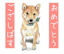 Favorite parts of SHIBAINU9 sticker #13310525
