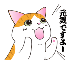 Horses&Cats All-star The second sticker #13311207