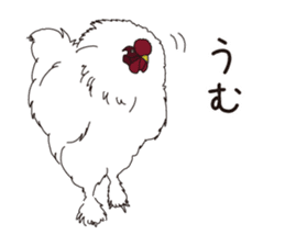 Horses&Cats All-star The second sticker #13311226