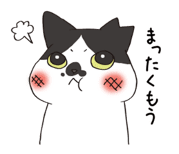 Horses&Cats All-star The second sticker #13311227