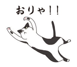 Horses&Cats All-star The second sticker #13311231