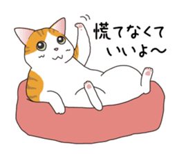 Horses&Cats All-star The second sticker #13311232