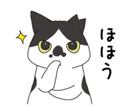 Horses&Cats All-star The second sticker #13311234