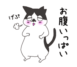 Horses&Cats All-star The second sticker #13311239