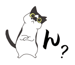 Horses&Cats All-star The second sticker #13311242