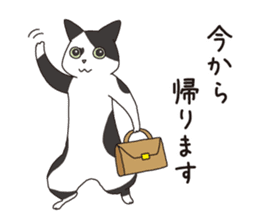 Horses&Cats All-star The second sticker #13311244