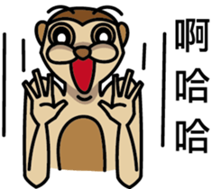 Funny Meerkat sticker #13313928