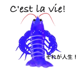 In The Sea (in Japanese and French) sticker #13314417
