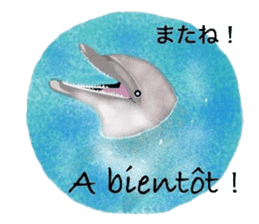 In The Sea (in Japanese and French) sticker #13314429