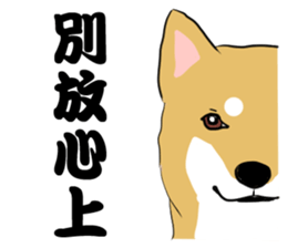 Yinyin meidaizi sticker #13315000