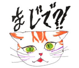 my orange tabby cat sticker #13315707