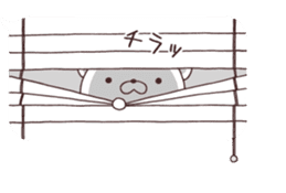 Daily Lives of cute white dogs special. sticker #13317035