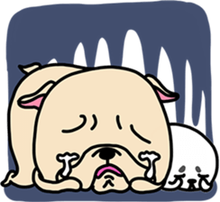 Frebull-chan & Azarashi-chan sticker #13317832