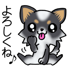 Two colors of puppies!