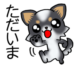 Two colors of puppies! sticker #13323017