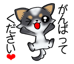 Two colors of puppies! sticker #13323025