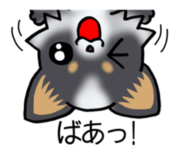 Two colors of puppies! sticker #13323026