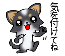 Two colors of puppies! sticker #13323037