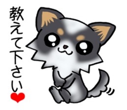 Two colors of puppies! sticker #13323039