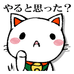 The cat which isn't caused