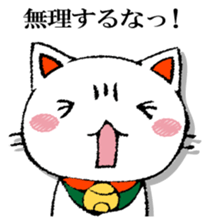 The cat which isn't caused sticker #13323715