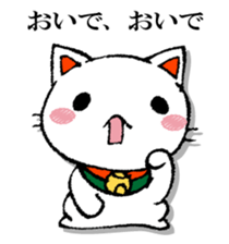 The cat which isn't caused sticker #13323728