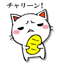 The cat which isn't caused sticker #13323738