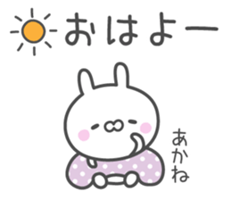 AKANE's basic pack,cute rabbit sticker #13324098
