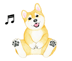 Shiba inu motion sticker. sticker #13328087