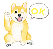 Shiba inu motion sticker. sticker #13328089