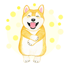Shiba inu motion sticker. sticker #13328092