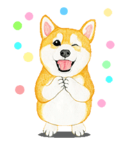Shiba inu motion sticker. sticker #13328093