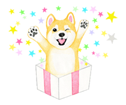 Shiba inu motion sticker. sticker #13328094