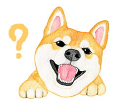 Shiba inu motion sticker. sticker #13328099
