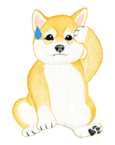 Shiba inu motion sticker. sticker #13328104