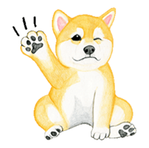 Shiba inu motion sticker. sticker #13328106