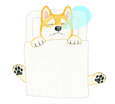 Shiba inu motion sticker. sticker #13328109