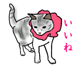 Etu sticker #13329256