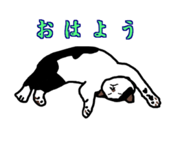 Etu sticker #13329271