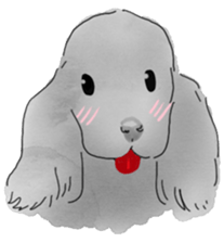 iPaint Black cocker sticker #13329414